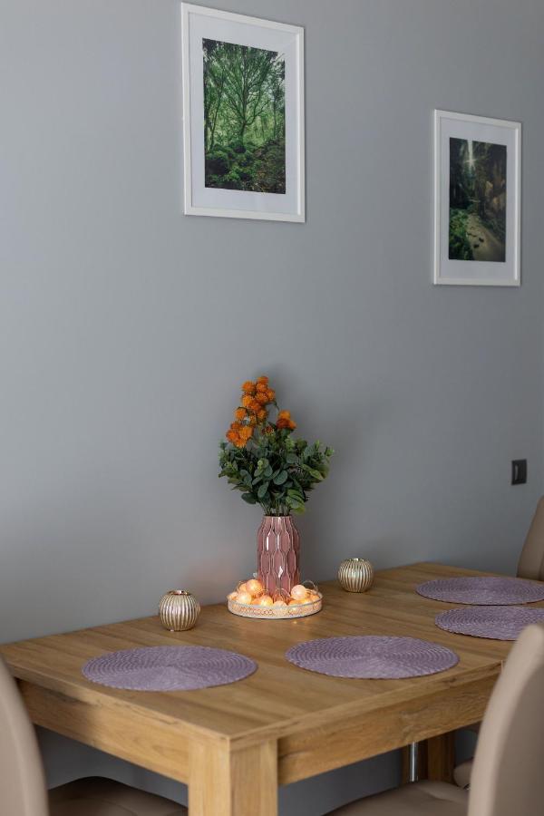 Apartament Silver Duszniki Zdrój Dış mekan fotoğraf